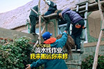 众老爸分工合修海草房