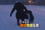 父子找食物风雪无阻