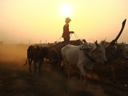 背包客的柬埔寨