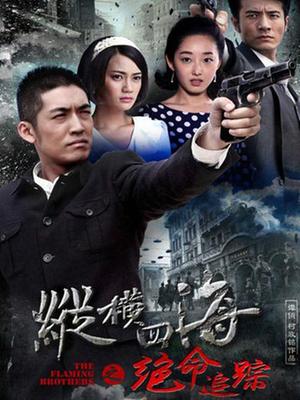 Chinese TV - 绝命追踪
