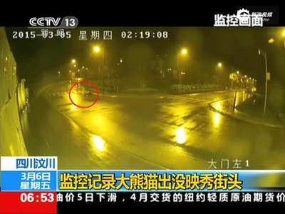 [视频]监控：大熊猫凌晨出没街头 悠闲打转过马路