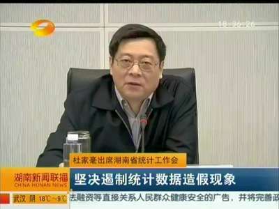 杜家毫出席湖南省统计工作会 坚决遏制统计数据造假现象