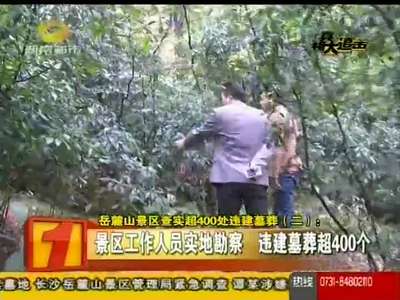 岳麓山景区查实超400处违建墓葬