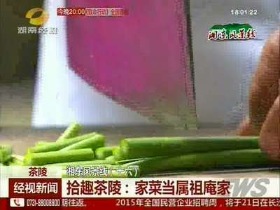 湘东风景线（十六）拾趣茶陵：家菜当属祖庵家