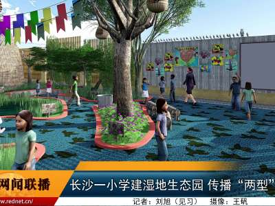 长沙青园中信小学建湿地生态园 传播“两型”理念