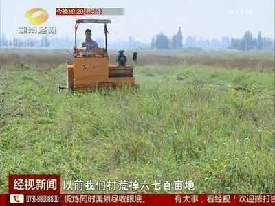 环洞庭湖基本农田建设一期收官