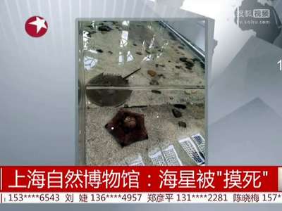 [视频]上海自然博物馆：海星被“摸死”