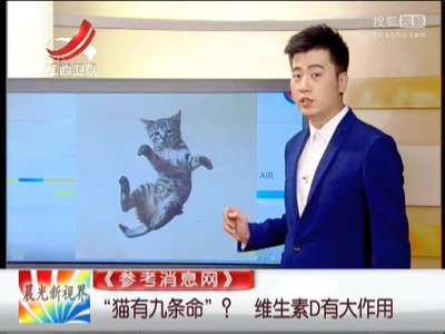 [视频]“猫有九条命”维生素D有大作用