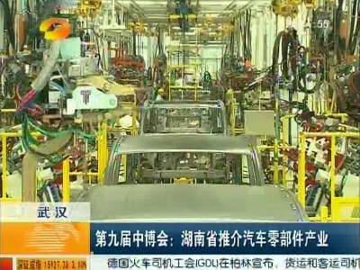 第九届中博会：湖南省推介汽车零部件产业