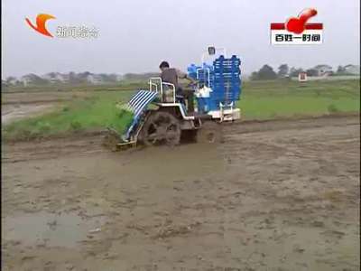 益阳：创业故事：80后小伙文振华的“现代农业梦”