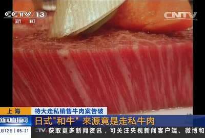 [视频]上海：特大走私销售牛肉案告破