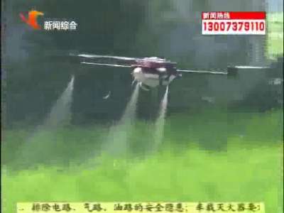 桃江：无人机喷洒农药 省时省力又省钱