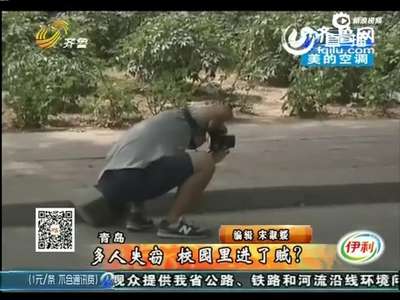 [视频]大学生毕业前行窃十余起 趁校友拍毕业照时偷包