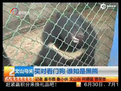 [视频]男子买看门狗养两年变黑熊 主动报警上交国家