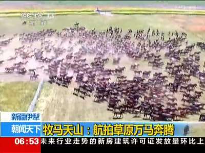 [视频]航拍天山万马奔腾呼啸 场面壮观震撼