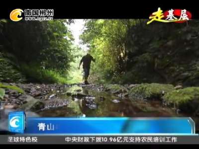郴州：青山垅的“护林人家”