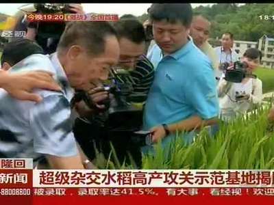 超级杂交水稻高产攻关示范基地揭牌
