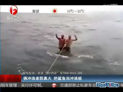 [视频]俩冲浪者胆真大 把鲨鱼当冲浪板