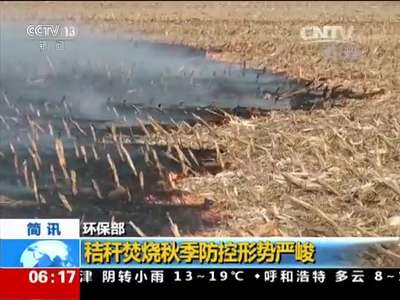 [视频]环保部：秸秆焚烧秋季防控形势严峻