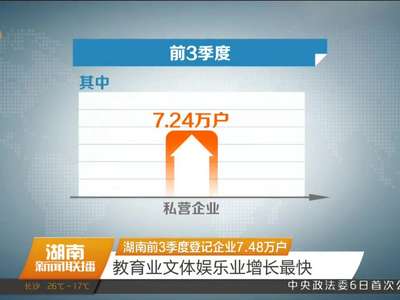 湖南前3季度登记企业7.48万户 教育业文体娱乐业增长最快