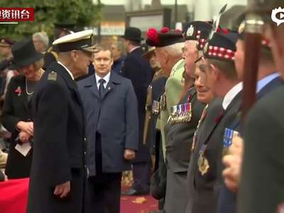 [视频]英王室缅怀阵亡士兵 哈里王子英武戎装亮相