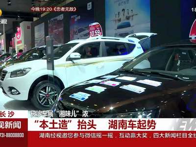 长沙车展“湘味儿”浓