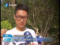 慈善跑活动：健康自己 帮助他人