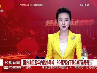 国内油价迎年内最小降幅 90号汽油下跌0.07元每升