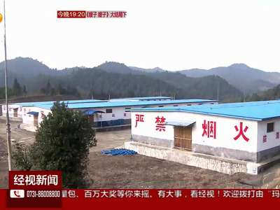 严查烟花企业违规生产 醴陵相关领导监管不力被停职半年