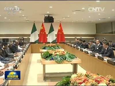 [视频]习近平会见尼日利亚总统