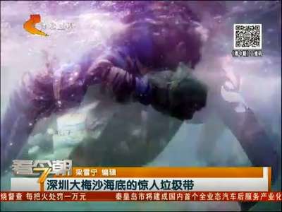 [视频]震撼！深圳大梅沙海底的惊人垃圾带