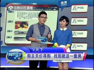 [视频]狗主人天价寻狗 找到就送一套房