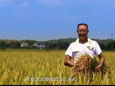【小康路上】第四期 湖南省粮食局篇：从田间到餐桌的幸福