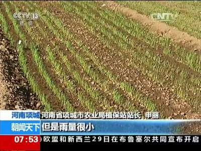 [视频]我国冬小麦主产区出现旱情