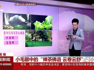 小毛眼中的“禅茶佛语 云卷云舒”