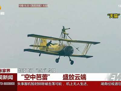张家界：特技飞行“荷花”绽放