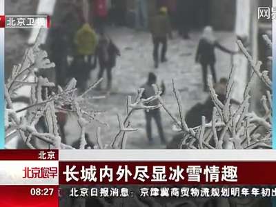 [视频]北京降雪如期而至 长城内外尽显冰雪情趣