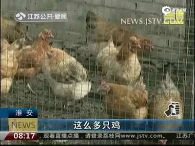 [视频]男子偷鸡20年九次入狱 自称“我懂鸡语很专业”