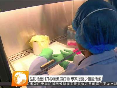 岳阳检出H7N9禽流感病毒 专家提醒少接触活禽