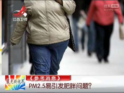 [视频]PM2.5易引发肥胖问题