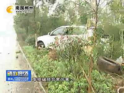 郴州：雨天路滑 越野车冲进绿化带