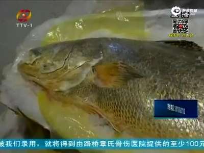 [视频]浙江现1.69米长黄唇鱼 身价达上百万元  