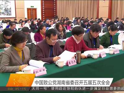 中国致公党湖南省委召开五届五次全会