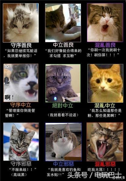 Ϸҵ磺޶OLط 㻹֪ɶDND