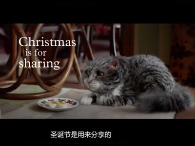 莫格的圣诞节之灾