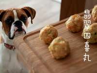 台风天狗狗的抗风美食