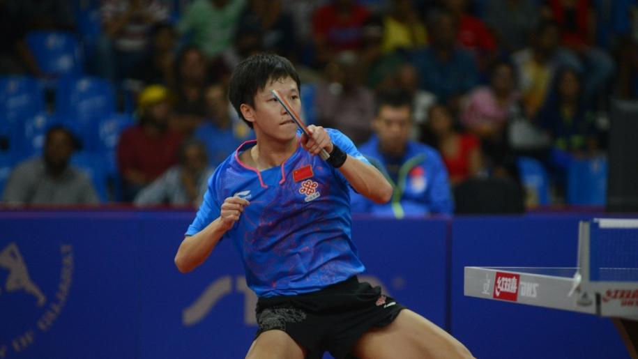 本想和宠物一起做瑜伽 奈何我家狗子老是想上我