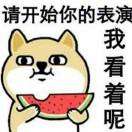 天使的歌声