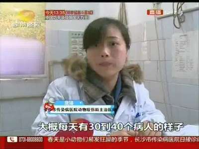 长沙：春天到 小心宠物狂躁伤人