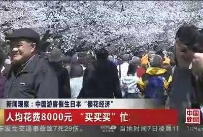 [视频]新闻观察：中国游客催生日本“樱花经济”